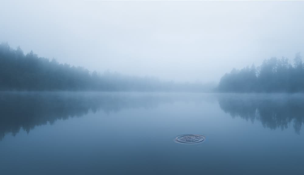 Misty Forest Lake by Christian Lindsten — canvas wall art
