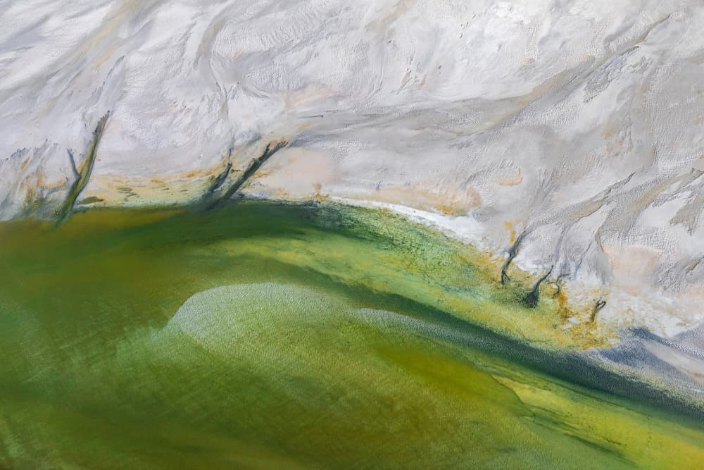 Fluid Green Landscape by Shenshen Dou — canvas wall art