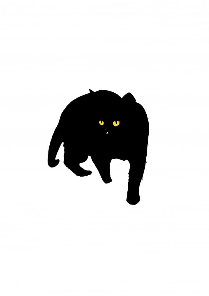 Glowing Cat Eyes by Nicholas — canvas wall art