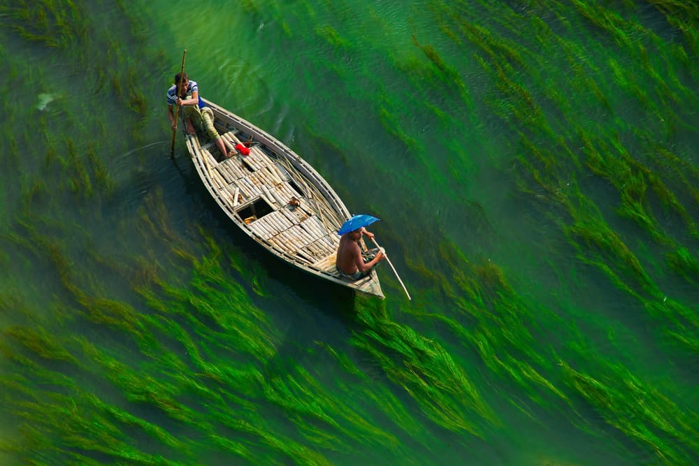 Serene Green River Boat by Azim Khan Ronnie — canvas wall art