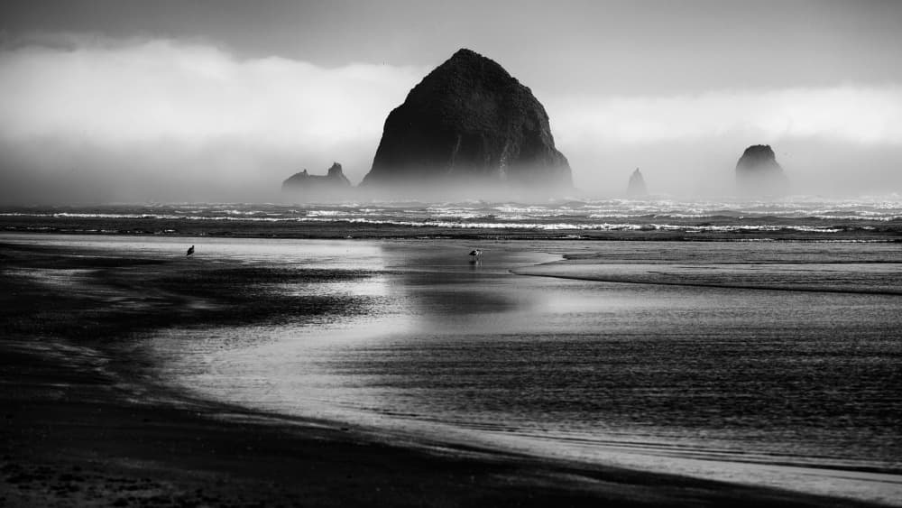 Moody Beach Seascape by Martin Rak — canvas wall art