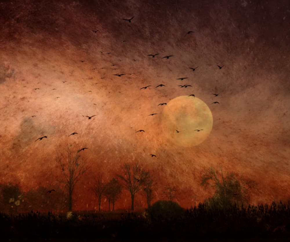 Autumn Moonlit Flight by Robert Fabrowski — canvas wall art
