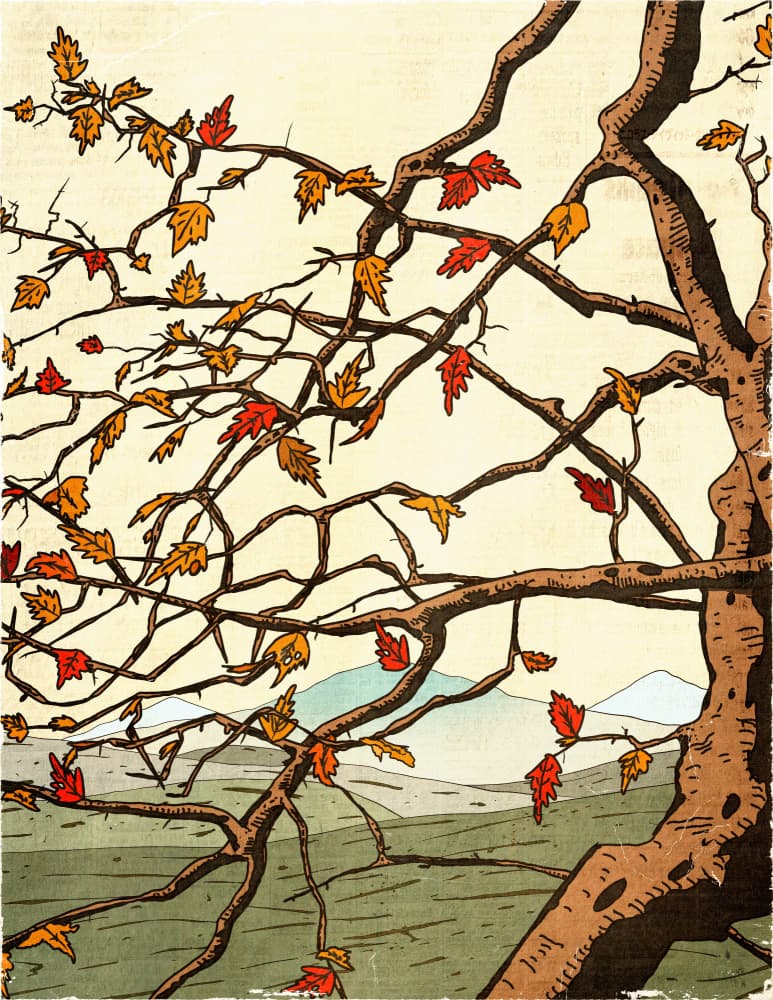 Vibrant Autumn Landscape by Nicholas — canvas wall art