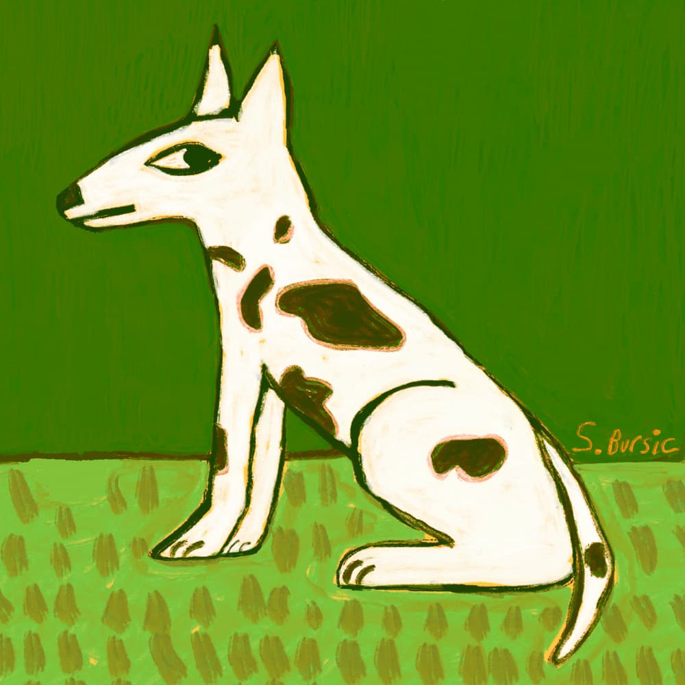 Spotted Dog on Green by Sharyn Bursic — canvas wall art
