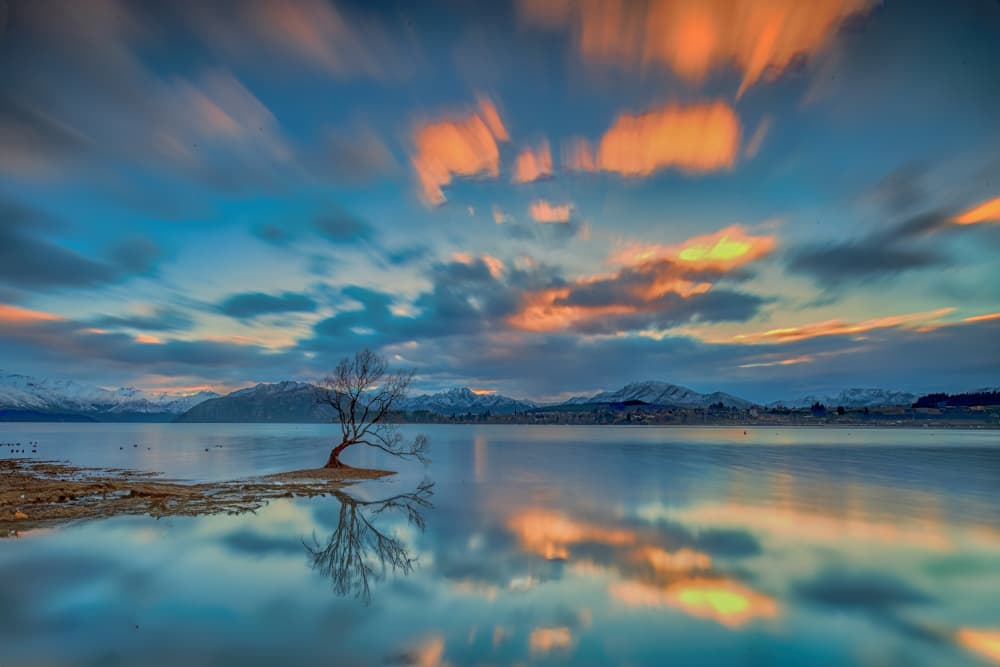 Lone Tree Sunset Reflection by Jay Zhu — canvas wall art