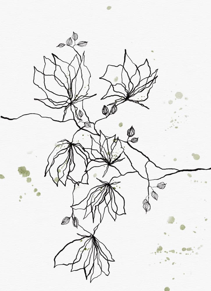 Delicate Line Flowers by Ankie Kooi — canvas wall art