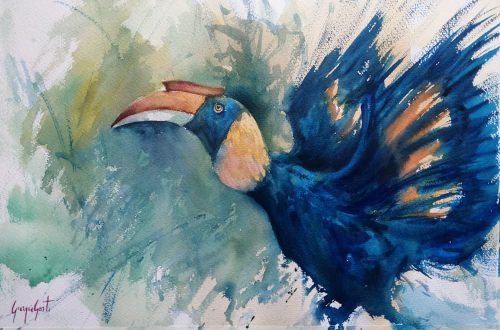 Tropical Blue Hornbill by Giorgio Gosti — canvas wall art
