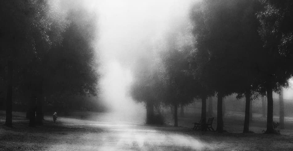 Ethereal Misty Path by Fulvio Pellegrini — canvas wall art