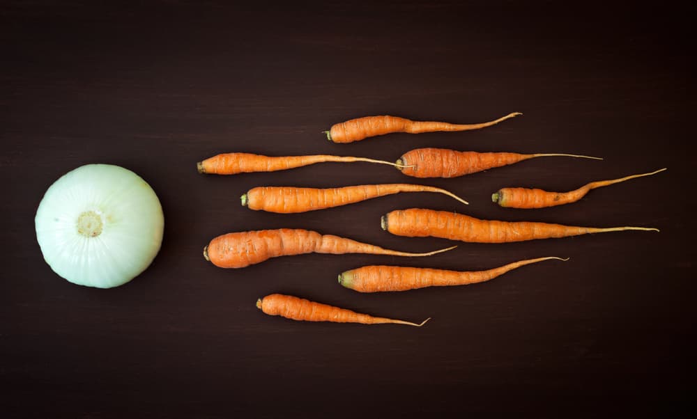 Food Fertility Concept by Nermin Smajić — canvas wall art