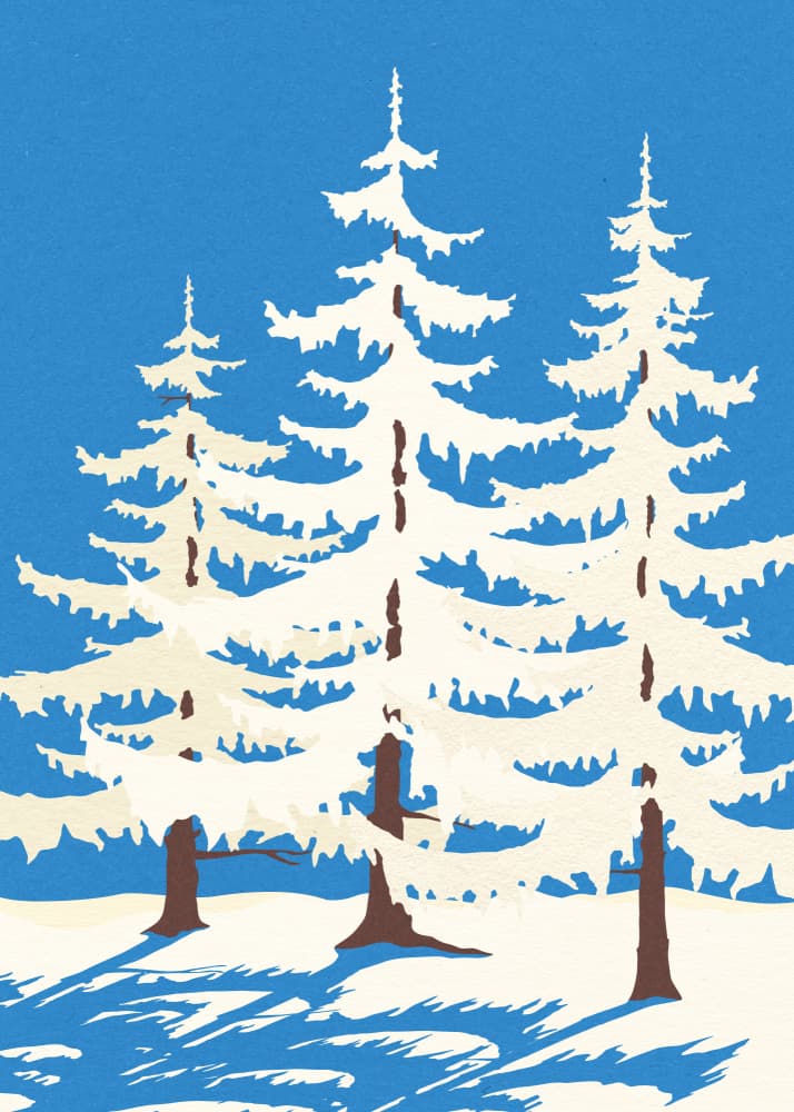 Harz Winter Trees by Rosi Feist — canvas wall art