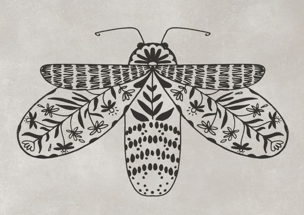 Intricate Folk Moth by Rosana Laiz Blursbyai — canvas wall art