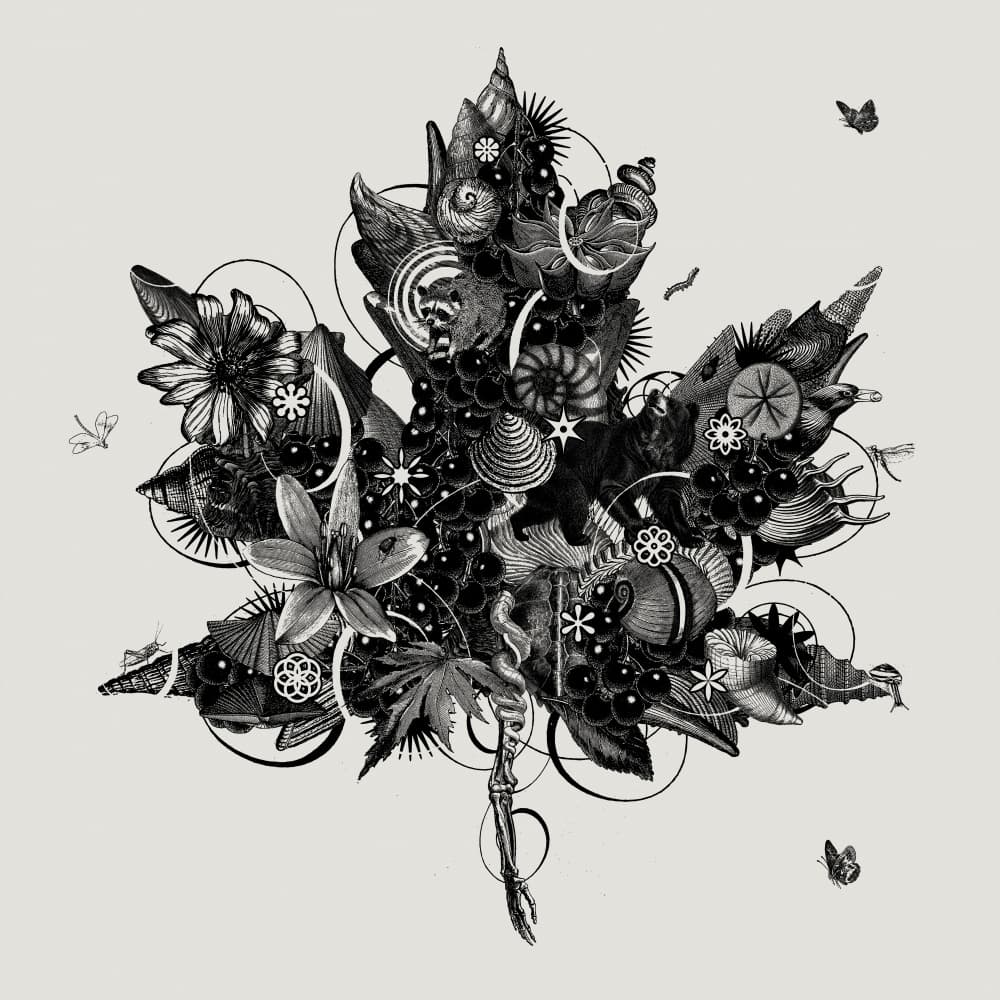 Surreal Botanical Maple Leaf by Jaco Putker — canvas wall art