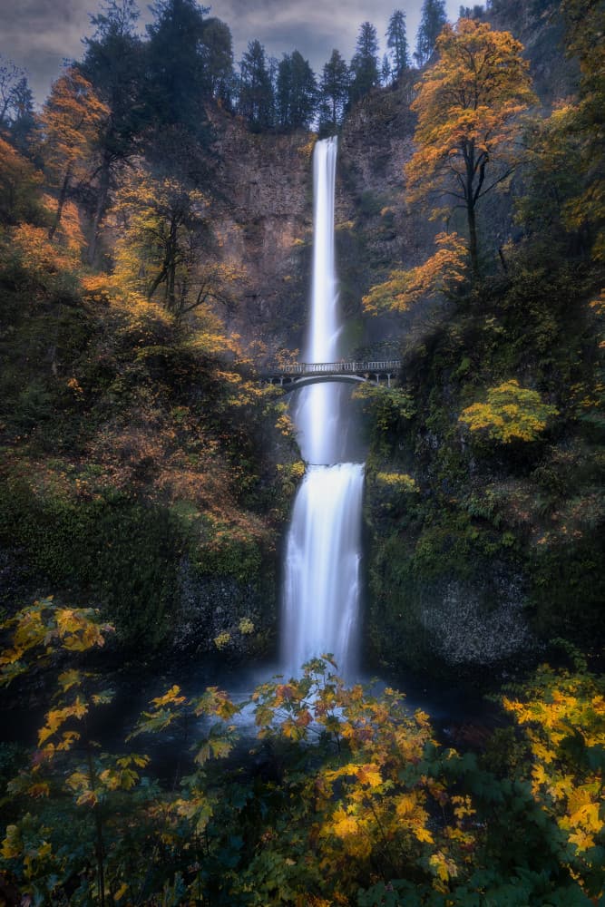 Golden Autumn Waterfall by Grant Hou — canvas wall art