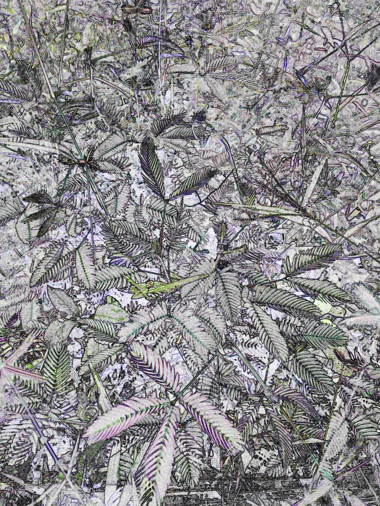 Stylized Botanical Pattern by Santhosh ch — canvas wall art