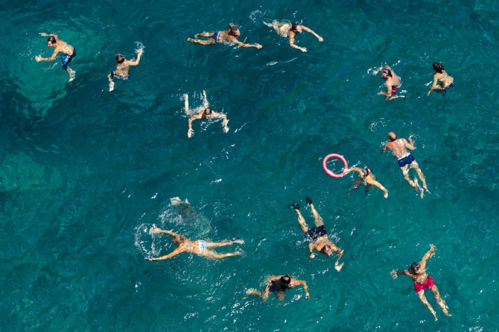 Aerial Ocean Swimmers by Carlo Tonti — canvas wall art