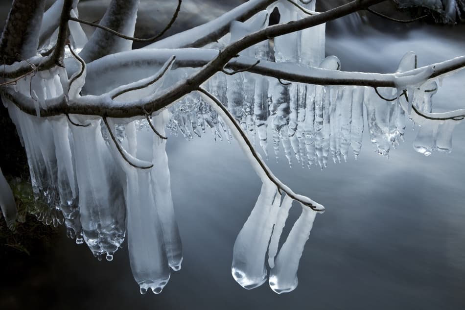 Icy Winter Branches by Nicolas Schumacher — canvas wall art