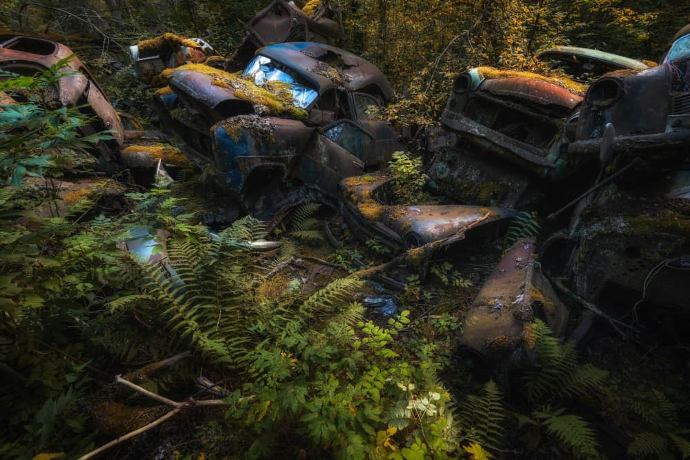 Forgotten Forest Cars by Benny Pettersson — canvas wall art