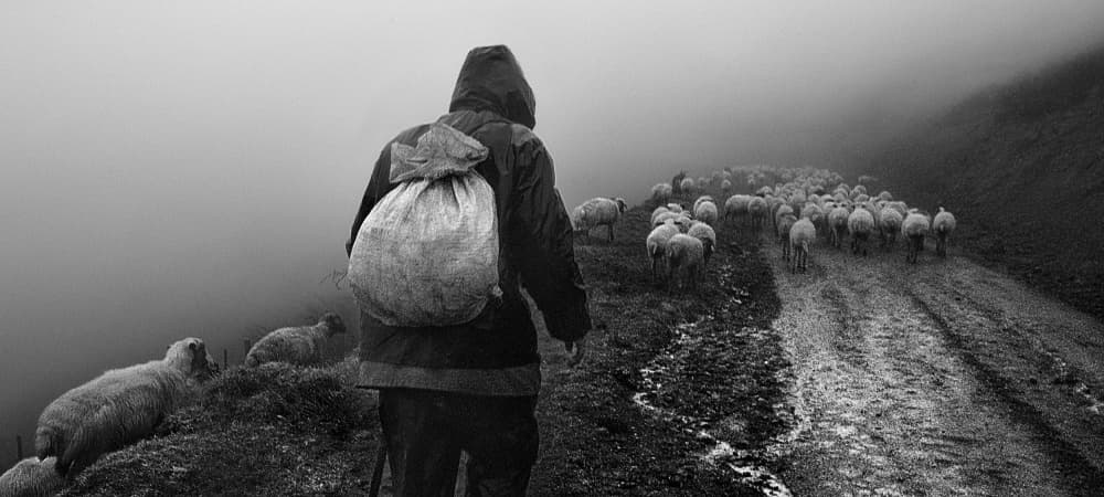 Shepherd in the Fog by Abbas Arabzadeh — canvas wall art