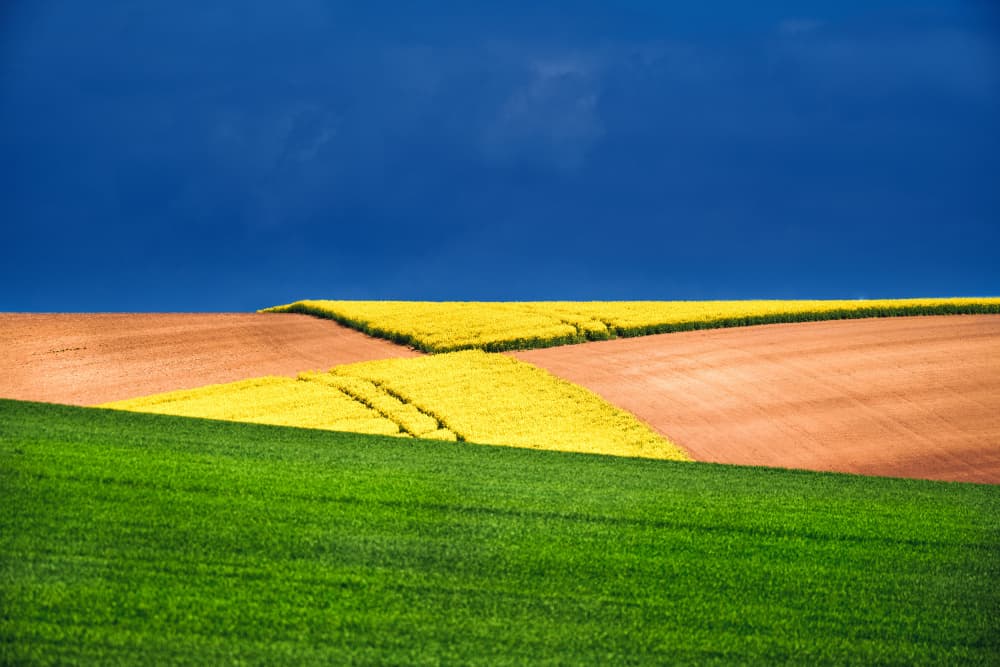 Vibrant Field Layers by Radek Pohnan — canvas wall art