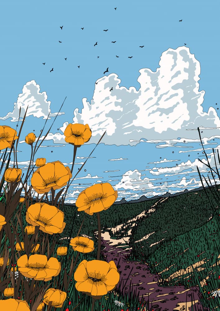 Yellow Poppies Path by Nicholas — canvas wall art