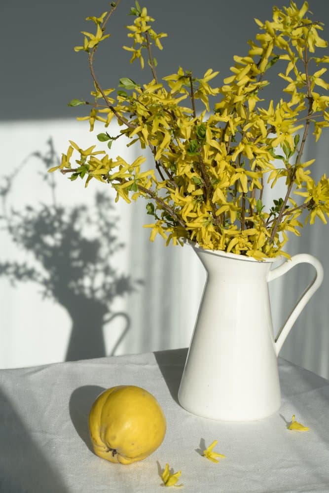 Bright Yellow Spring Flowers by Larisa Usmanova — canvas wall art