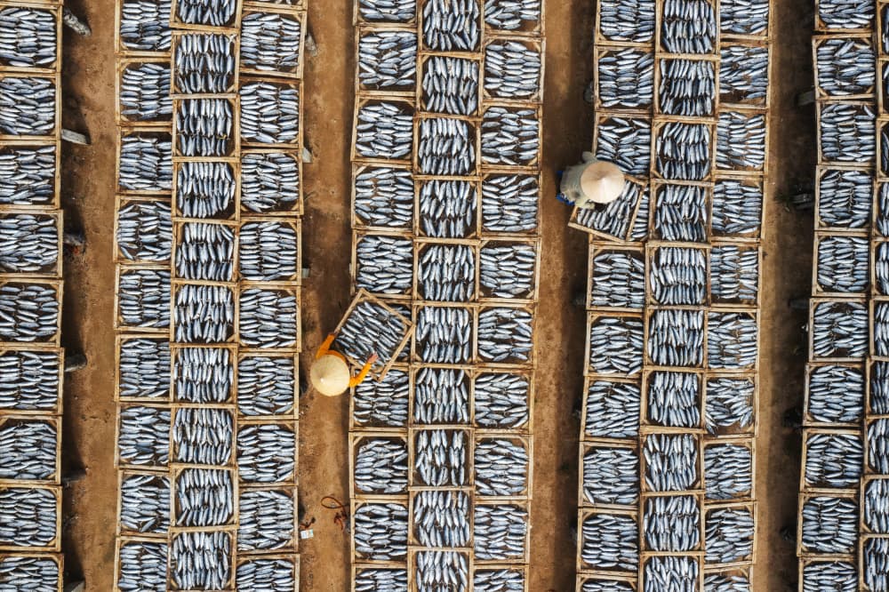 Overhead Fish Drying by Clas Gustafson PRO — canvas wall art