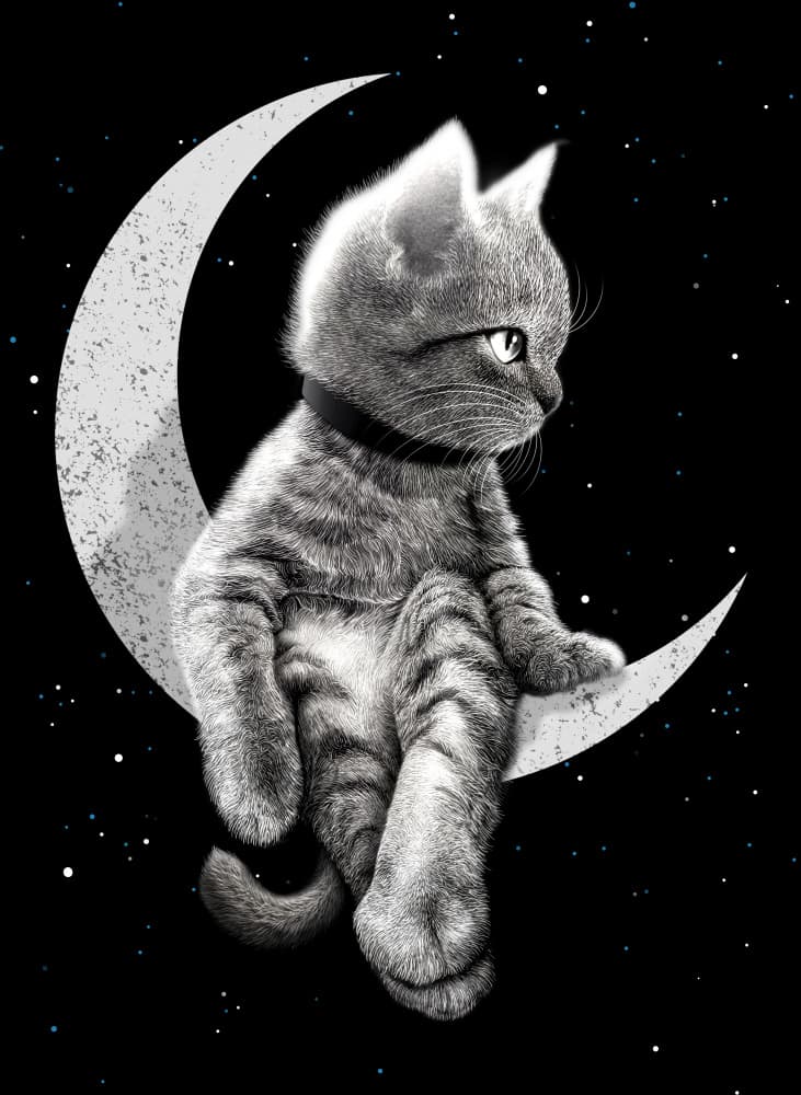 Dreamy Kitten On Moon by Adam Lawless — canvas wall art