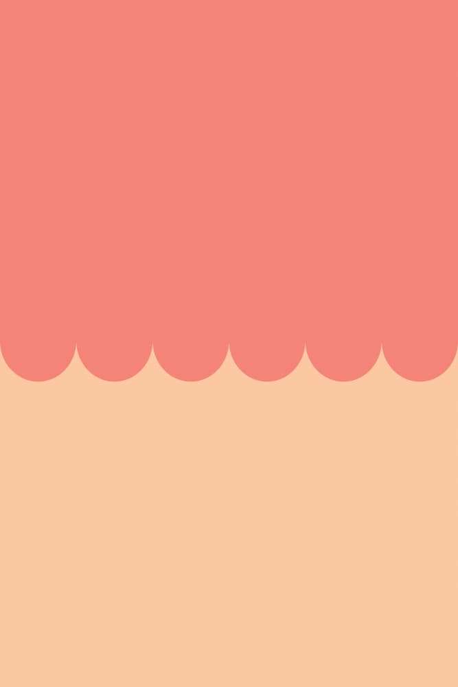 Peach Coral Scallops by Pictufy Studio — canvas wall art
