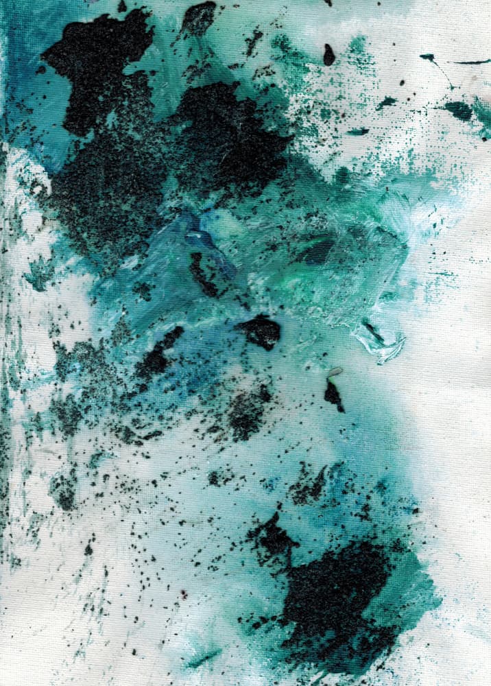Oceanic Black Sands by Deb Chaney — canvas wall art