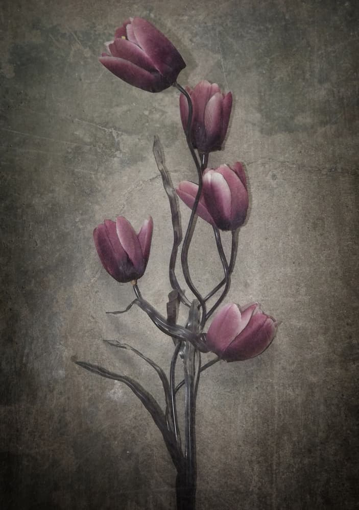 Moody Purple Tulips by Kahar Lagaa — canvas wall art