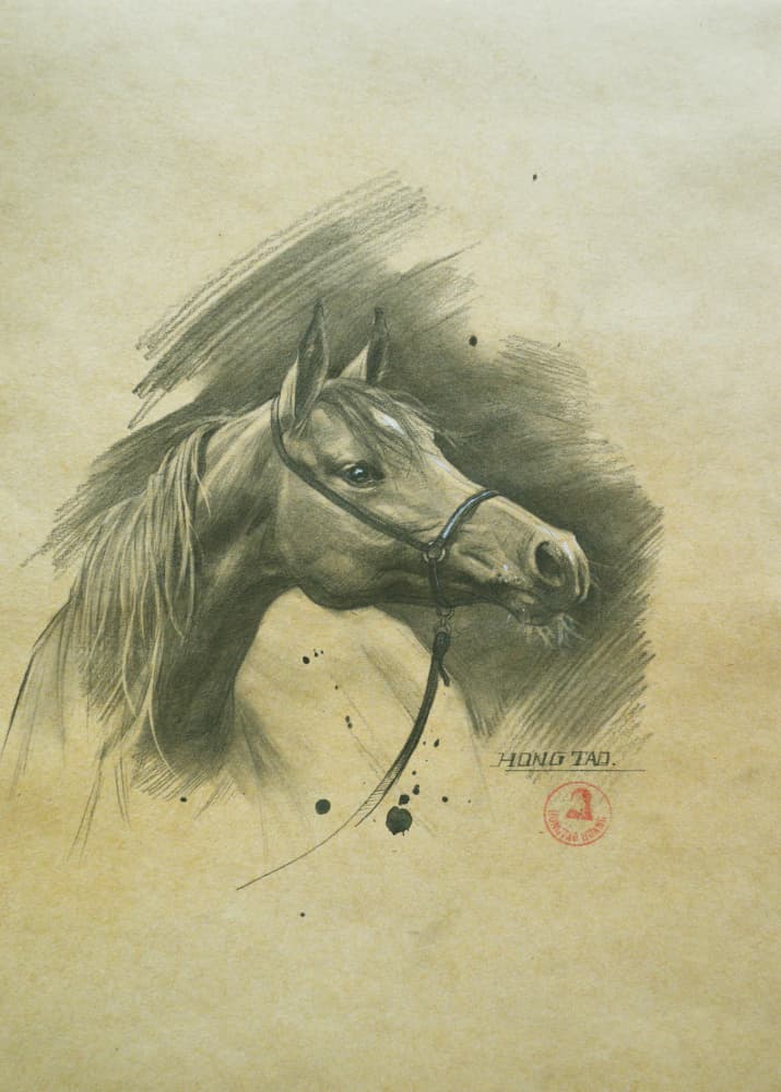 Spirited Horse Portrait