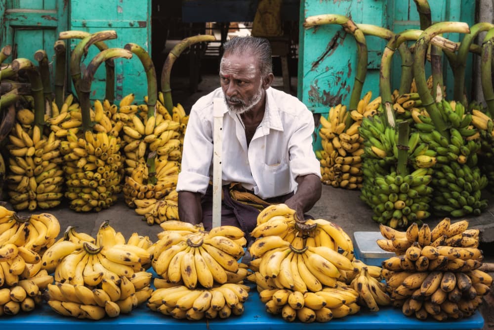 Indian Banana Market by Ludwig Riml — canvas wall art