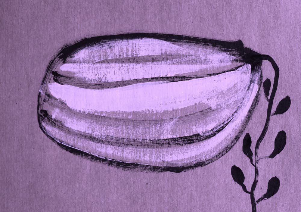 Elegant Striped Pod by Santhosh ch — canvas wall art