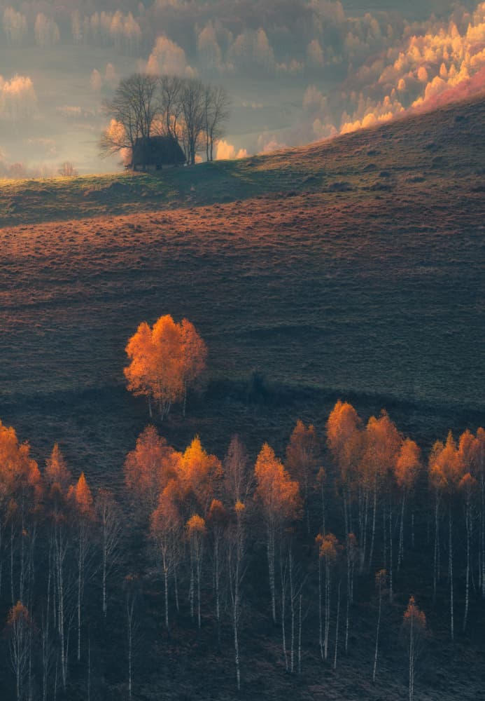 Golden Cabin Autumn Hills by Haim Rosenfeld — canvas wall art