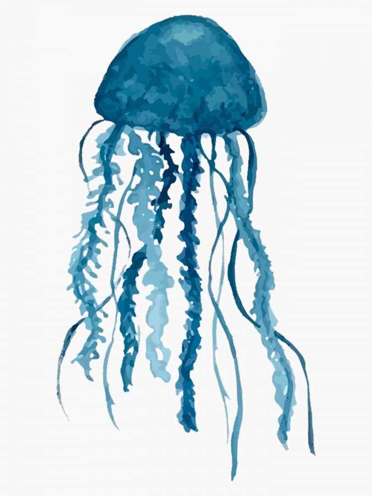 Blue Watercolor Jellyfish by Elizabeth C — canvas wall art