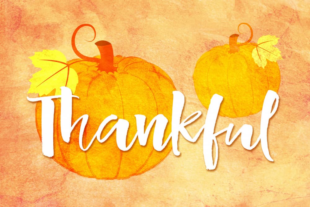 Thankful Autumn Pumpkins by Martina — canvas wall art