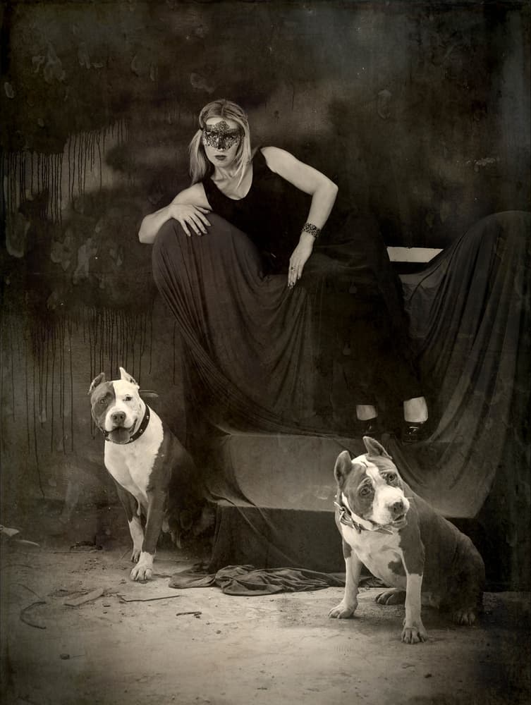 Masked Woman and Pit Bulls by Yuri Shepelev — canvas wall art