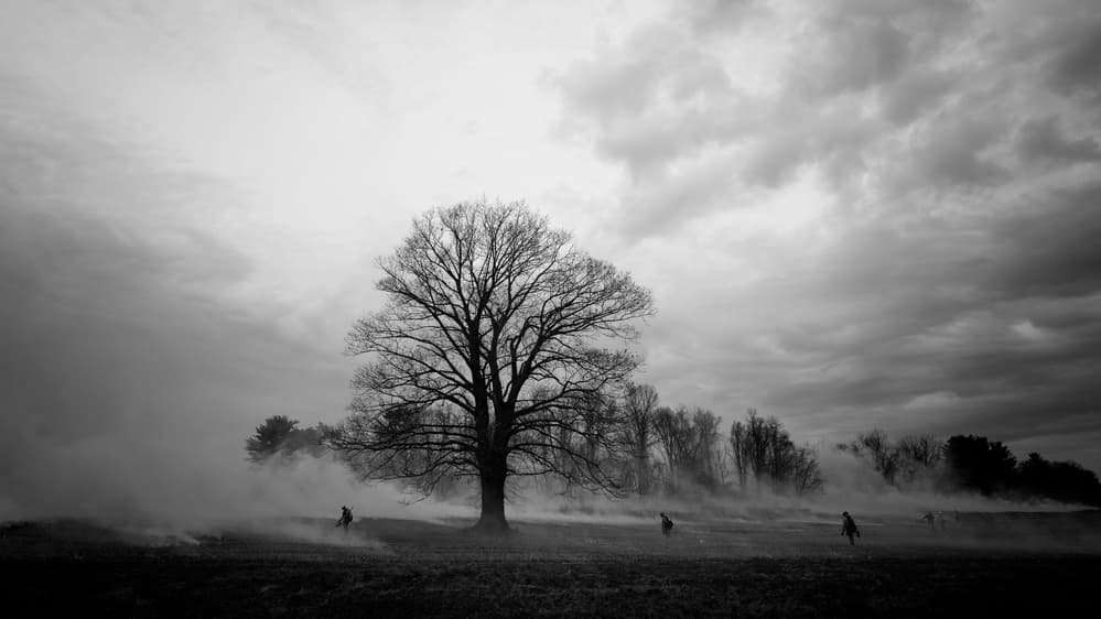 Misty Solitary Tree by Purple Bamboo — canvas wall art