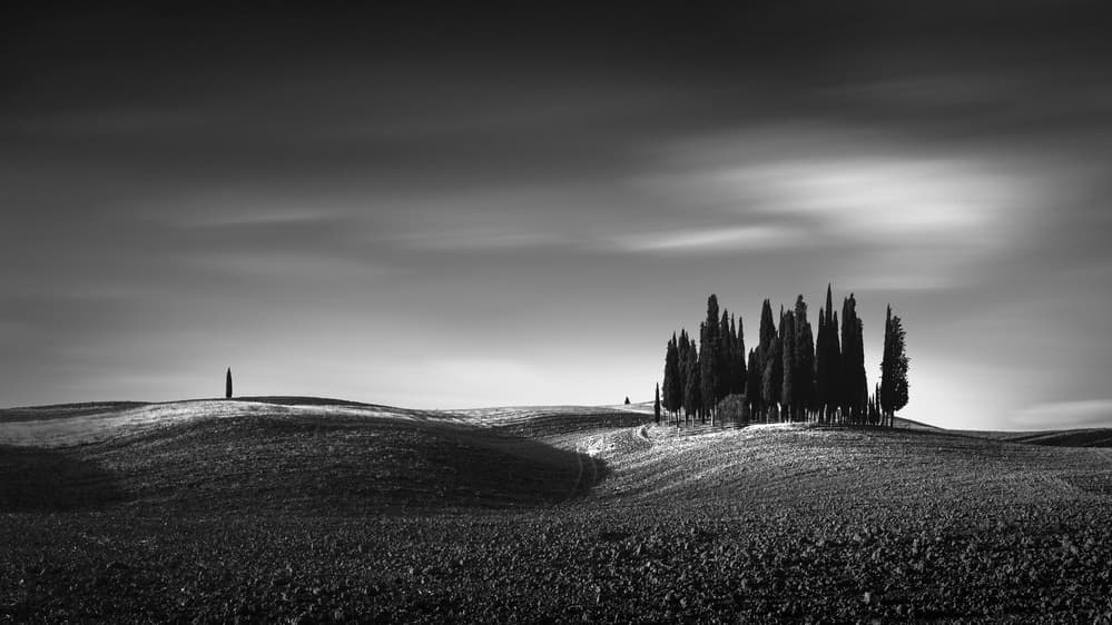 Tuscan Cypress Landscape by Oscar Lopez — canvas wall art