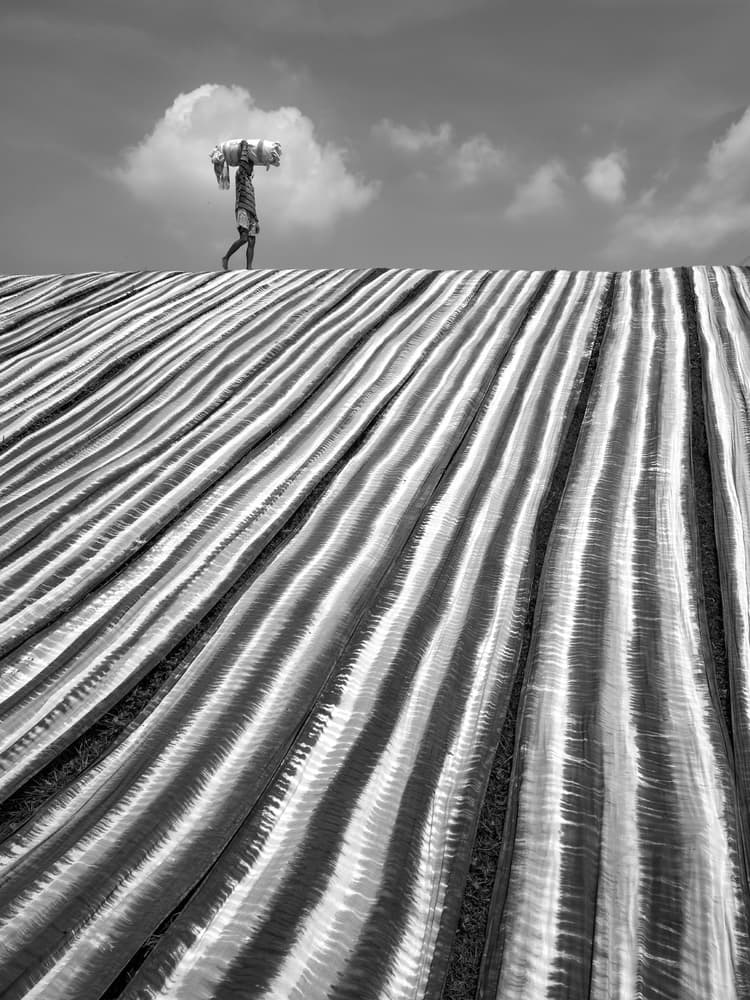 Man On Striped Field by Gunarto Song — canvas wall art