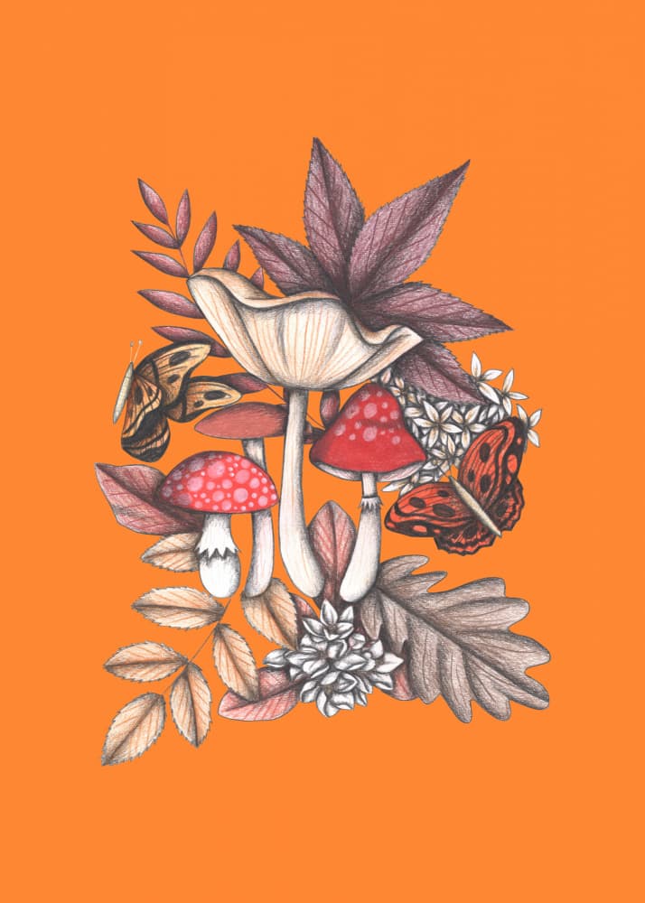 Autumn Mushroom Butterflies by Cecilia Battaini — canvas wall art