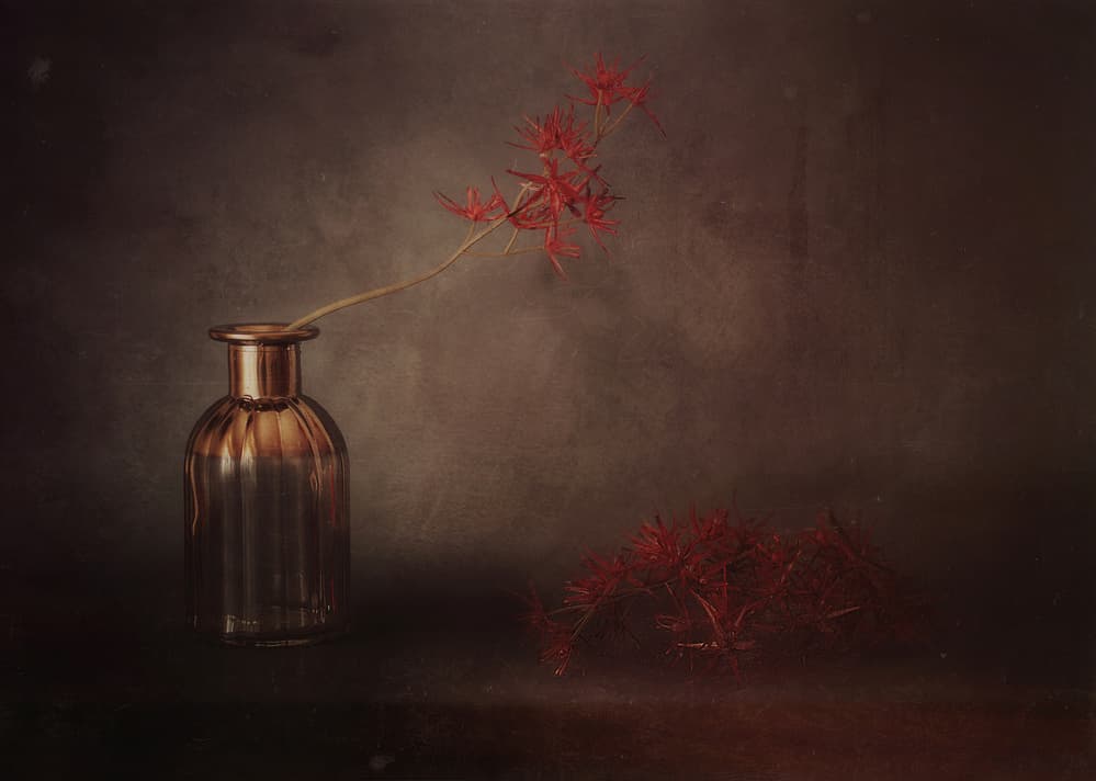 Red Bloom Still Life by Elena Arjona — canvas wall art
