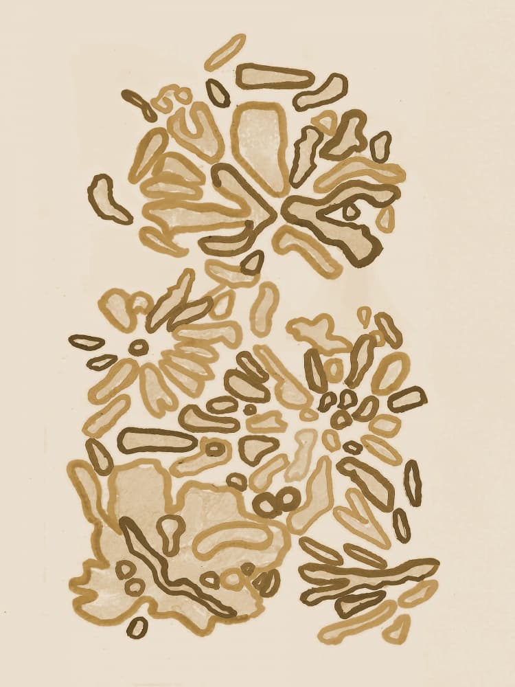 Fluid Organic Shapes by Lori Ann Folz — canvas wall art