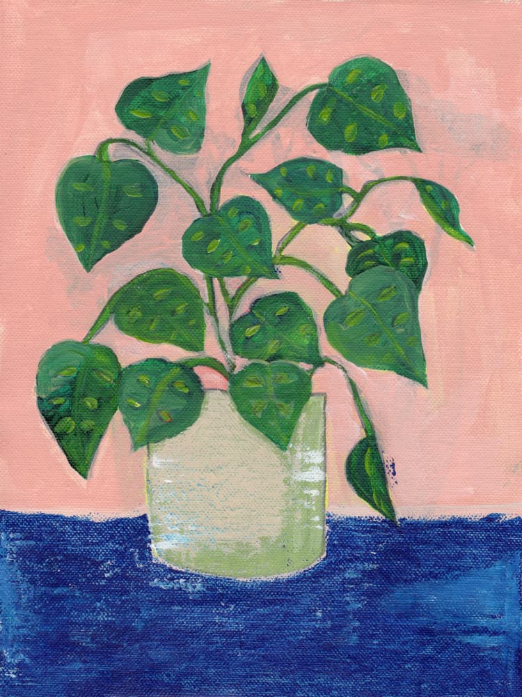 Vibrant Potted Houseplant by Nikita Jariwala — canvas wall art