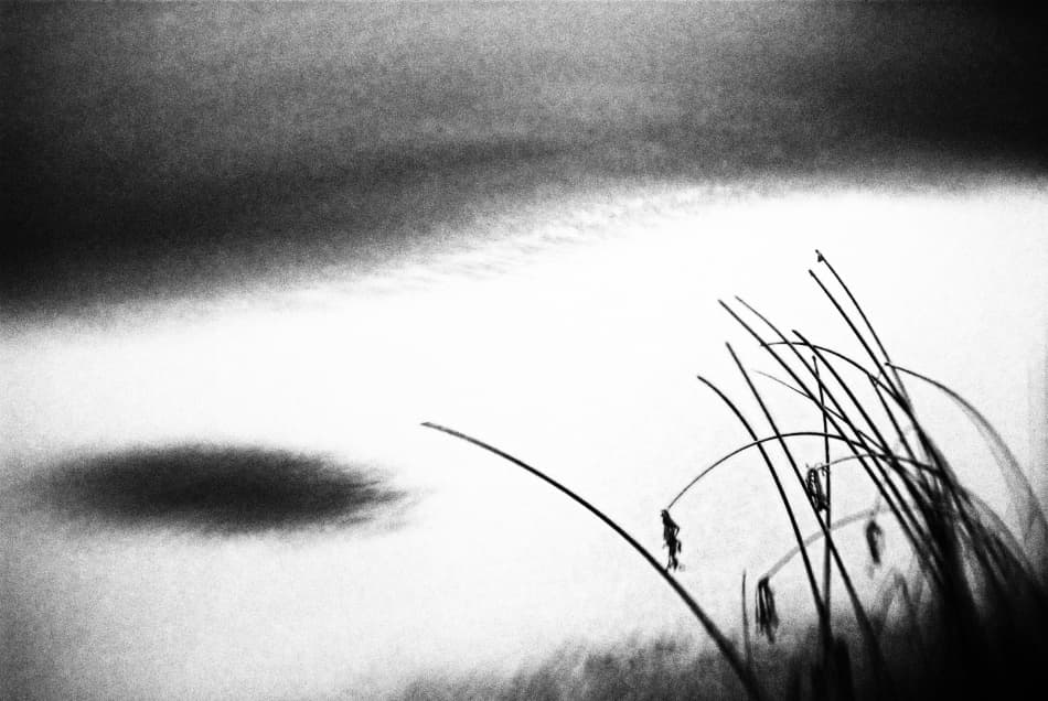 Quiet Reeds Reflection by Codrin Lupei — canvas wall art