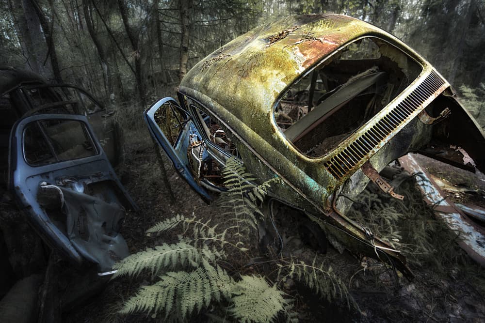 Abandoned Forest Cars by fotomarion — canvas wall art