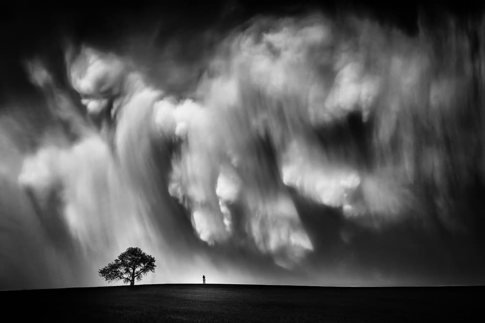 Dramatic Sky Lone Tree by Like He — canvas wall art
