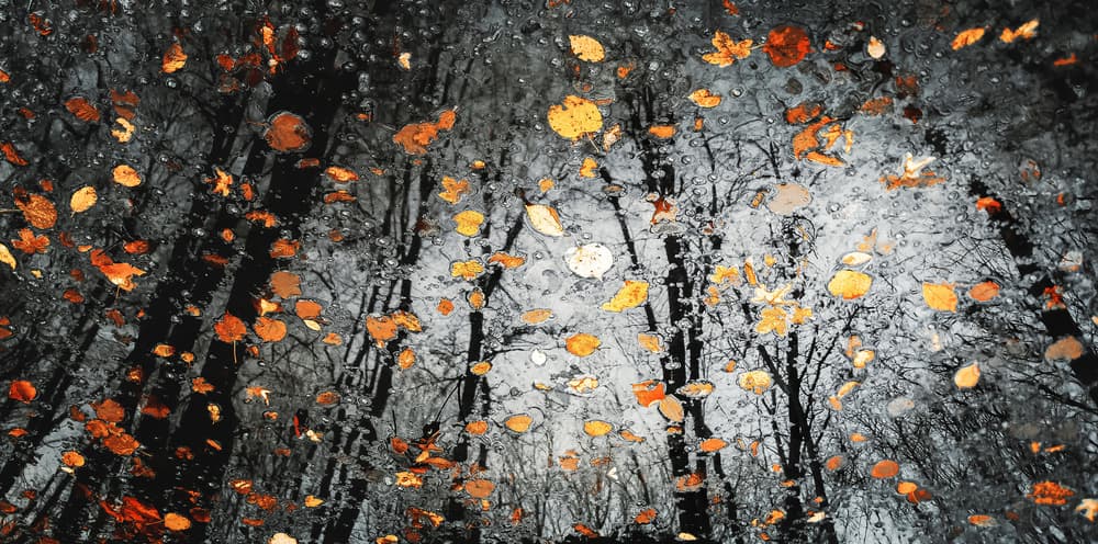 Moody Autumn Reflection by Florentin Vinogradof — canvas wall art