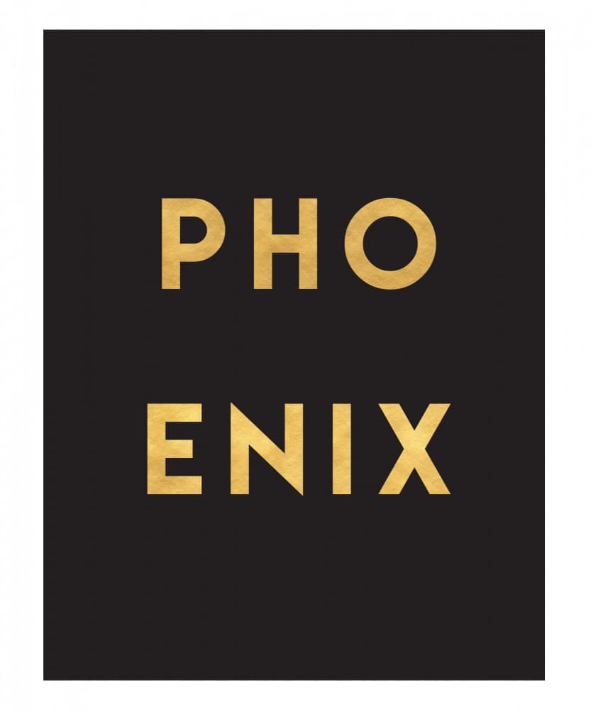 Black Gold Phoenix by Emiliano Deificus — canvas wall art