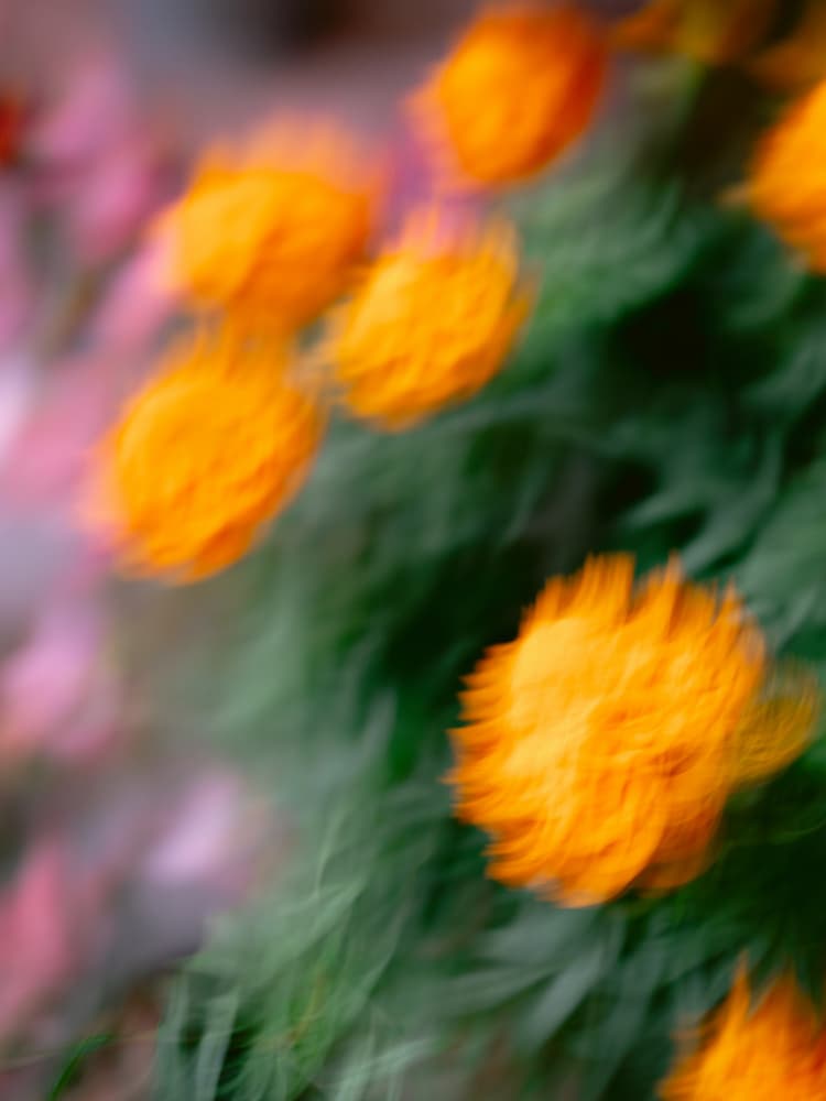Energy Orange III by Raisa Zwart — canvas wall art